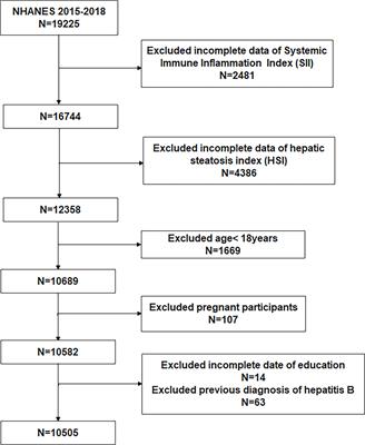 Systemic immune-inflammation index is associated with hepatic steatosis: Evidence from NHANES 2015-2018